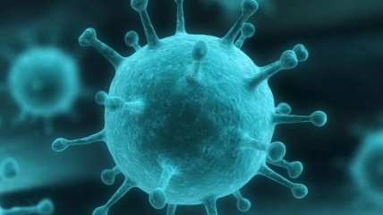 Минздрав подтвердил 289 смертей от гриппа