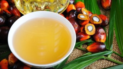 Вред пальмового масла для здоровья человека