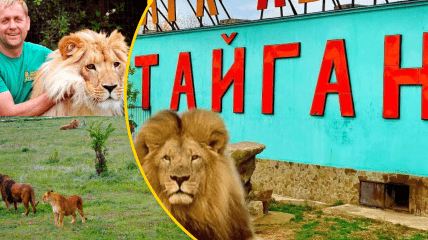 Экологи обвиняют руководство парка "Тайган" в издевательстве над животными