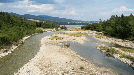 Обмеление рек