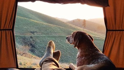 Этот аккаунт в Instagram вдохновит вас отправиться в поход со своей собакой (Фото)
