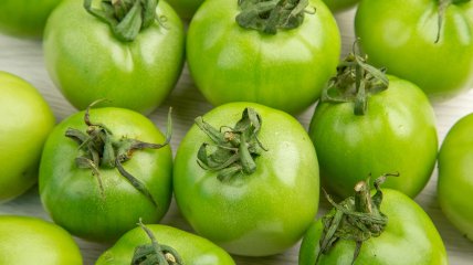 Зеленые помидоры - дозревание дома реально в короткие сроки