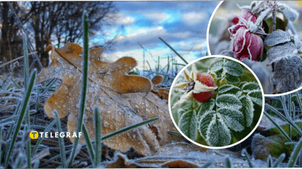 Заморозки в Україні