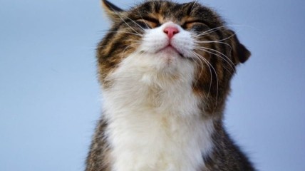 Кому из знаков Зодиака повезет в период с 22 по 28 августа 2022 года