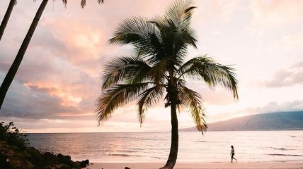 Жаркие гавайские красоты в объективе Винсента Лима (Фото) 