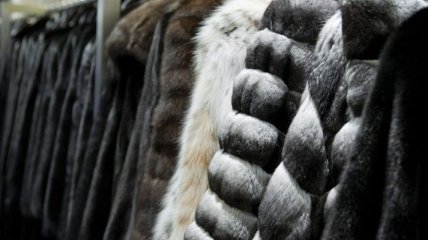 Норвегия запретит меховую промышленность  