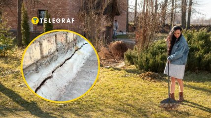 Поврежденный деревом фундамент