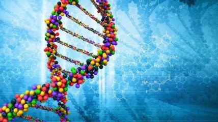 Ученые обнаружили ДНК неизвестных древних жителей Земли