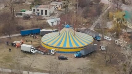 "Неповага та примітивна оцінка": Мінкульт різко відповів на хейт про "броню" для пересувного цирку України