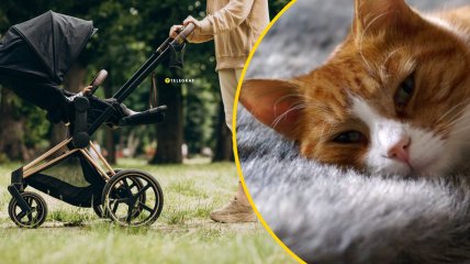 Коти можуть позбавити життя маленької дитини