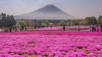 Самые красивые места Японии (Фото)