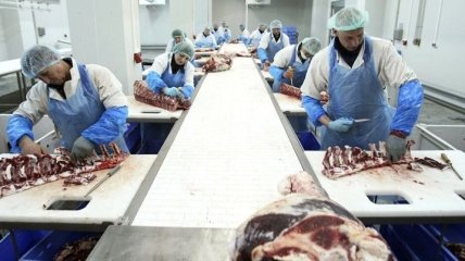 В Украине снизилось производство мяса 