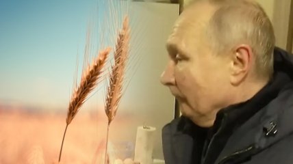россия возит зерно на старых посудинах, поскольку с ней не хотят работать, но даже это не помогает