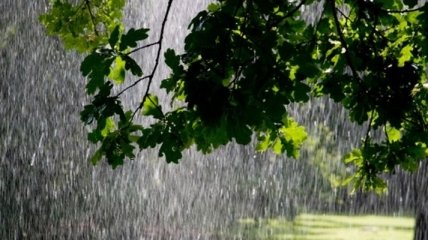 Прогноз погоды на 31 мая: дожди, грозы и незначительное потепление
