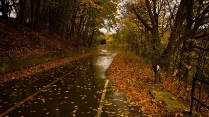 Свято "День Параскеви" відзначається у 2023 році 14 жовтня (раніше 27 жовтня)