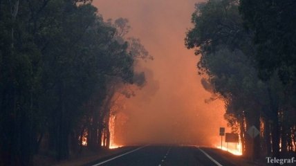 Лесные пожары в Австралии: есть жертвы 