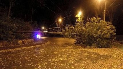 Последствия ночного урагана на Львовщине 
