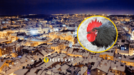 Львів та півень