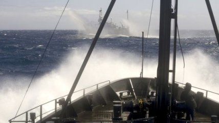 Франция потребовала от Южной Кореи не начинать китобойный промысел
