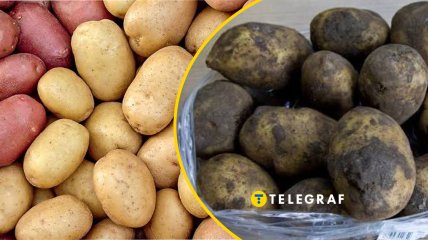 У мытого картофеля короткий срок хранения