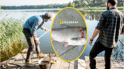 Гигантский толстолоб из Днепра удивил горожан