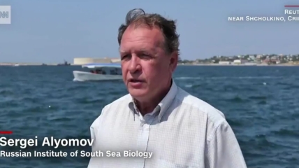 Російський вчений, у якого взяли інтерв’ю про медуз в Криму