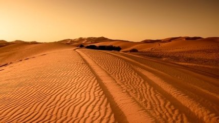 Крупнейшая в мире: в пустыне Сахара запустили солнечную электростанцию (Видео)