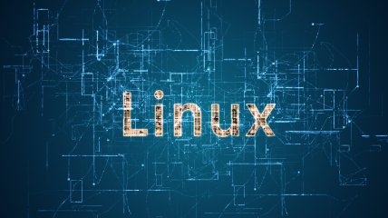 В Росії істерика: з Linux викинули 11 російських програмістів, Торвальд єхидно прокоментував