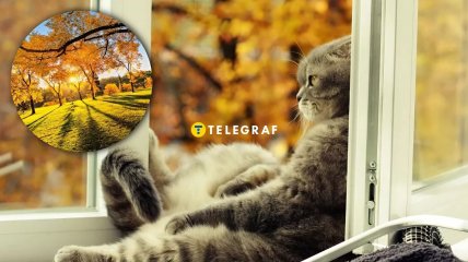 Прогноз на ноябрь 2025 радует