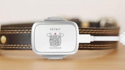 Xiaomi презентовала PetBit для отслеживания животных 