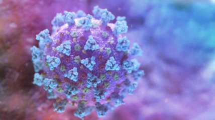 Иммуноглобулин поможет победить коронавирус: иммунолог назвала преимущества этого вида лечения