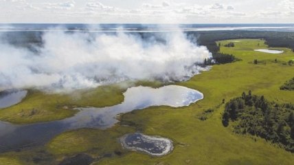 Экологическая катастрофа: масштабные пожары в Сибири приводят к стремительному разогреванию Арктики
