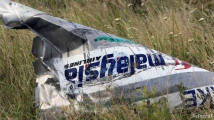 Новые останки обнаружили на месте катастрофы "Boeing-777"