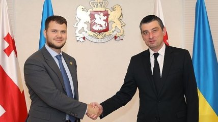 "Нас интересует их опыт": Криклий на встрече с премьером Грузии (Фото)