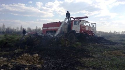 В Житомирской области службой ГСЧС локализован пожар на площади около 5 га  
