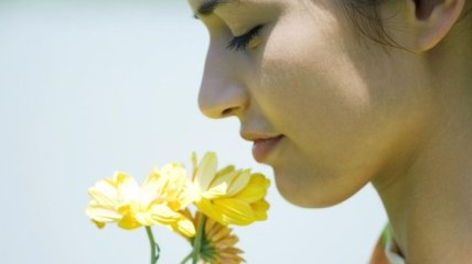 Как запахи действуют на раны?