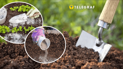 Чем удобрять огород осенью