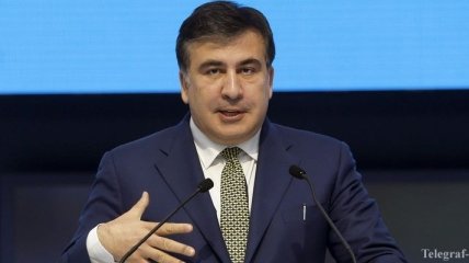 Участники ЕНД в Грузии приняли резолюцию по Саакашвили