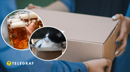 Пиво, кот и доставка посылки