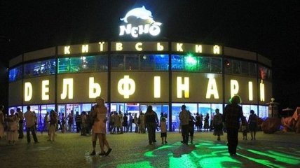 Суд арестовал имущество киевского дельфинария "Немо"