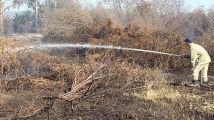 В Черкасской области ликвидировали 40 гектаров пожара на торфяниках