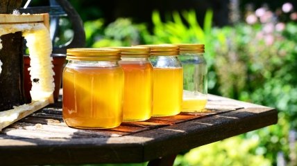 Какими будут цены на мед в этом году