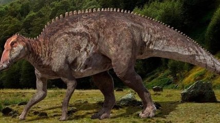 Ученые сделали необычное открытие о динозаврах