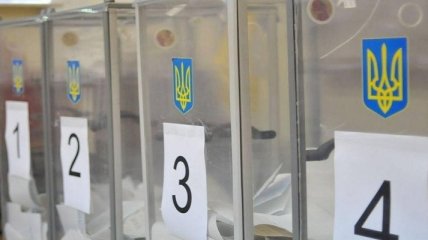 На ночном подсчете голосов выборов в Киеве напали на наблюдательницу (видео)