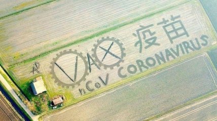 Привлек внимание: В Италии фермер на своем поле "создал" коронавирус