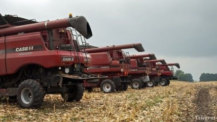 В Украине начался сбор урожая ранних зерновых