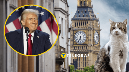 Дональд Трамп, кот Ларри