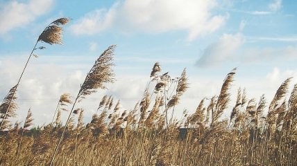  21 серпня - свято, що категорично заборонено робити, головні прикмети