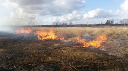 Из-за поджога сухой травы в Черниговской области сгорело несколько домов