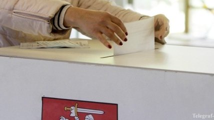 В Литве возможен второй тур президентских выборов